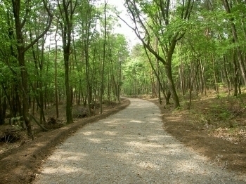 国営アルプスあづみの公園　大町・松川地区林床整備他その２工事