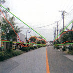 街路樹