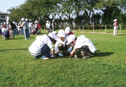 小中学校