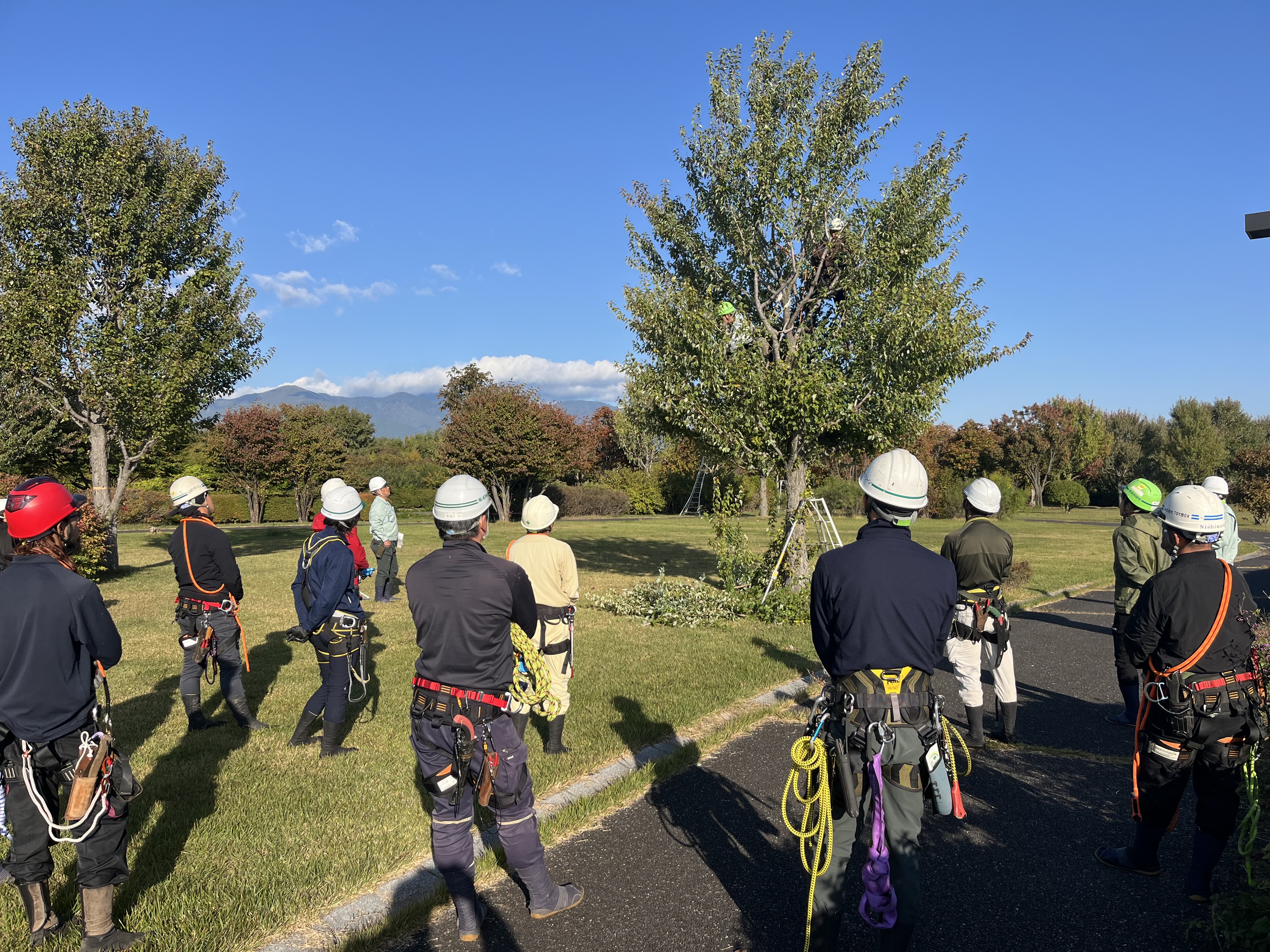 令和7年度「街路樹剪定士研修・認定試験」を行いました。